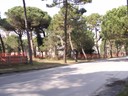 Foto 22