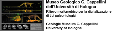 museo cappellini università di bologna