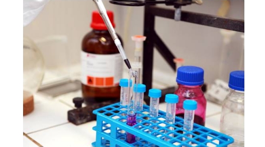 Chimica E Tecnologie Farmaceutiche In Inglese