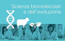 LM Scienze biomolecolari evoluzione.png
