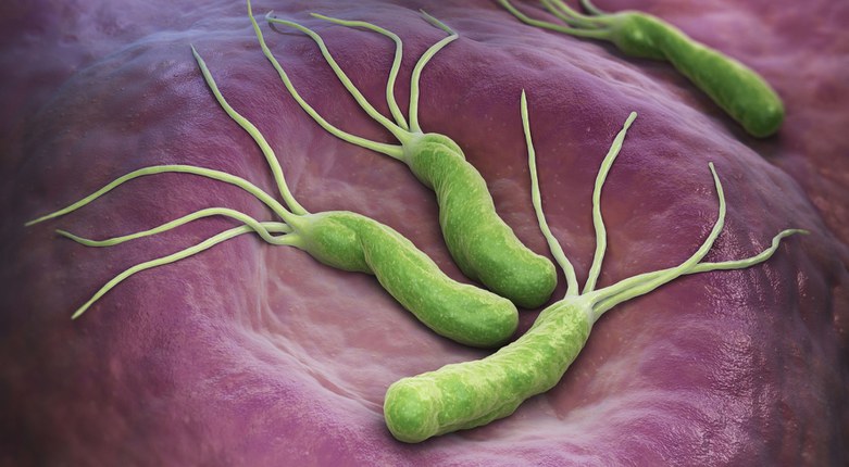 Genetica | H. pylori, dalla medicina all’archeologia per tracciare gli spostamenti dei nostri antenati Genetica | H. pylori, dalla medicina all’archeologia per tracciare gli spostamenti dei nostri antenati