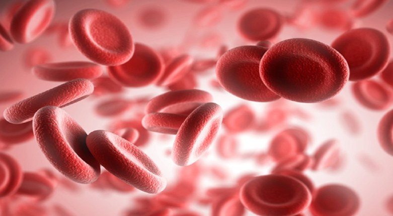 Biotecnologie | Dall’ingegneria proteica di Unife la supermolecola per migliorare la cura dell’emofilia B Biotecnologie | Dall’ingegneria proteica di Unife la supermolecola per migliorare la cura dell’emofilia B