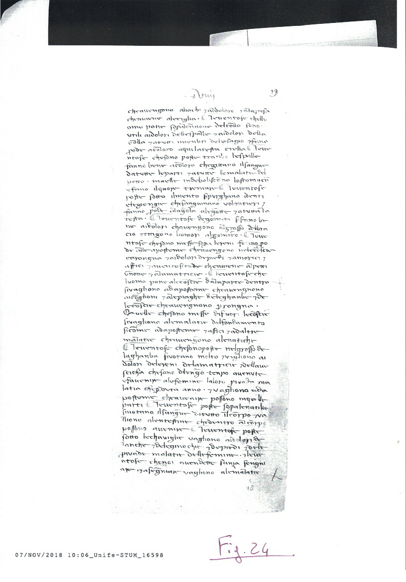 Fig. 24