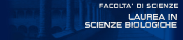 logo struttura