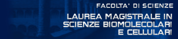 logo struttura