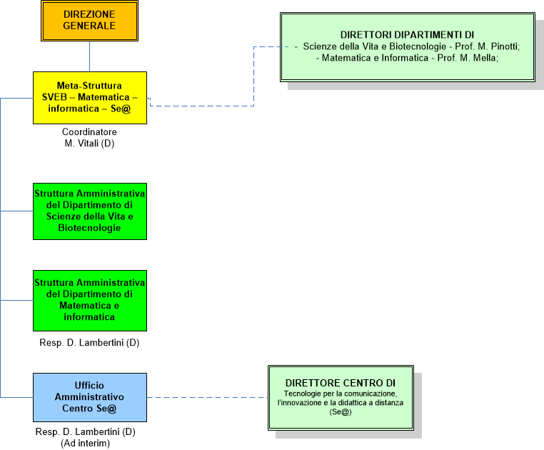 Meta struttura MC