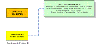 Meta-Struttura Medico-Chimica