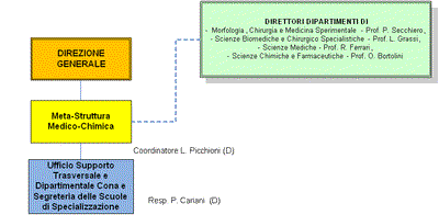 Meta-Struttura
