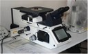 Metallographic optical microscope.jpg