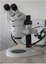 Stereographic microscope.jpg