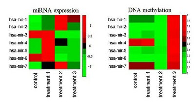 Analisi epigenetiche