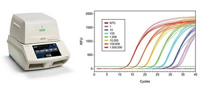 Real-time PCR quantitativa