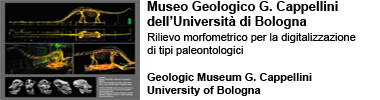 Museo Cappellini Univerita di Bologna