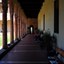 Mammuth-DSC_6207.jpg