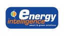 Energy Intelligence