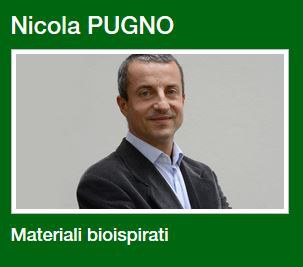 Pugno.JPG