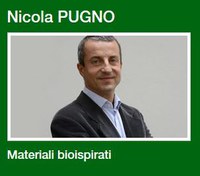 Pugno.JPG