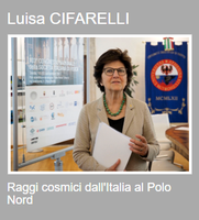 LuisaCifarelli.png