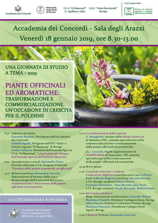 locandinaconvegno18.1.2019.jpg