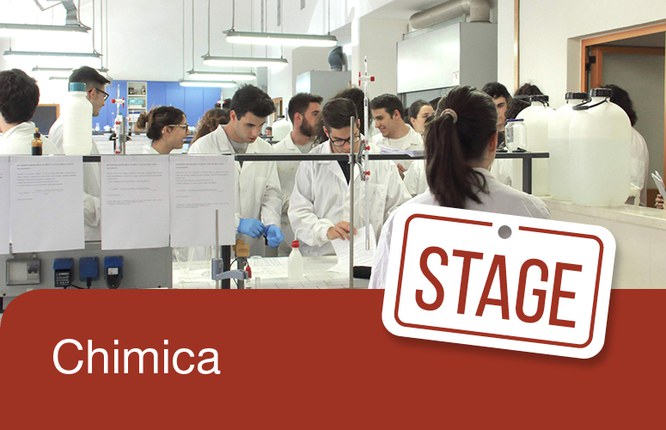 Stage estivo di Chimica