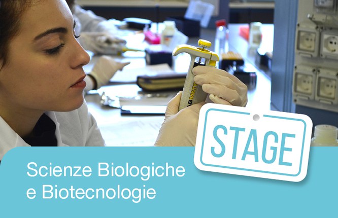 Stage: Corsi di Laurea in Scienze Biologiche e Biotecnologie Stage: Corsi di Laurea in Scienze Biologiche e Biotecnologie