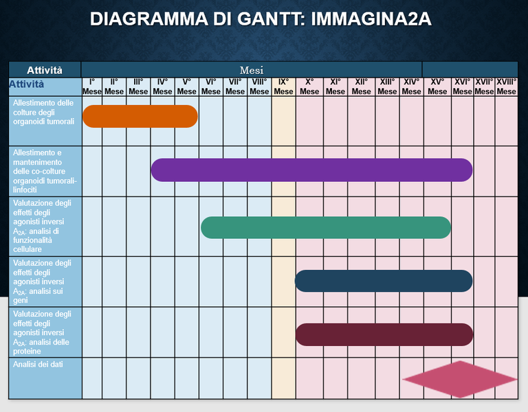 Diagramma di Gantt IMMAGINA2A.png