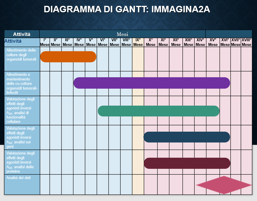 Diagramma di Gantt IMMAGINA2A.png