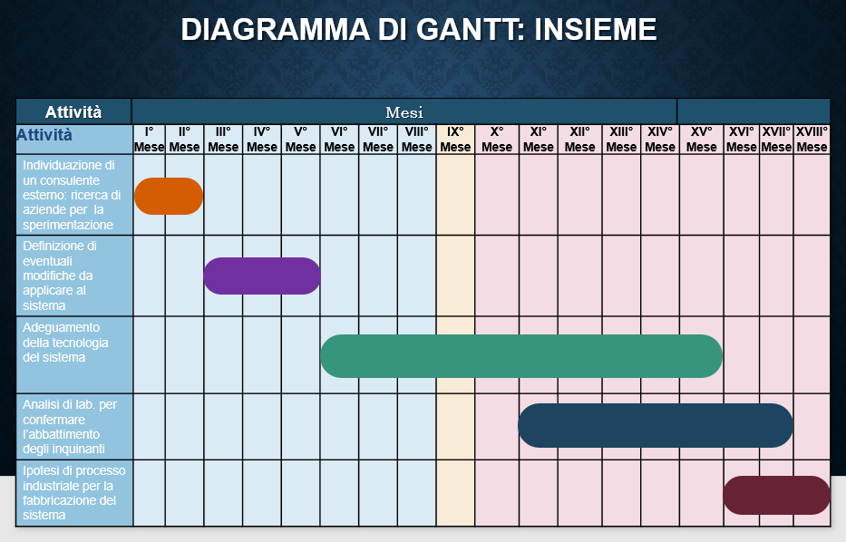 Gannt INSIEME.png