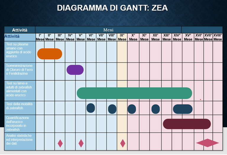 Segui lo sviluppo del PoC ZEA
