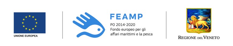 UE+FEAMP+VENETO.jpg
