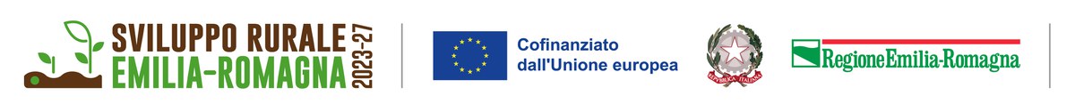 PSR_UE_Repubblica Italiana_RER_rgb.jpg