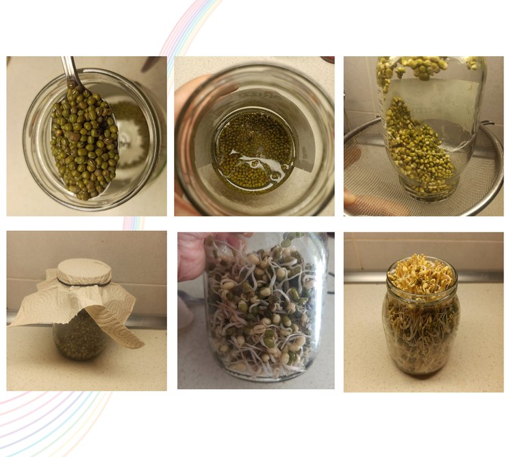 beans.jpg