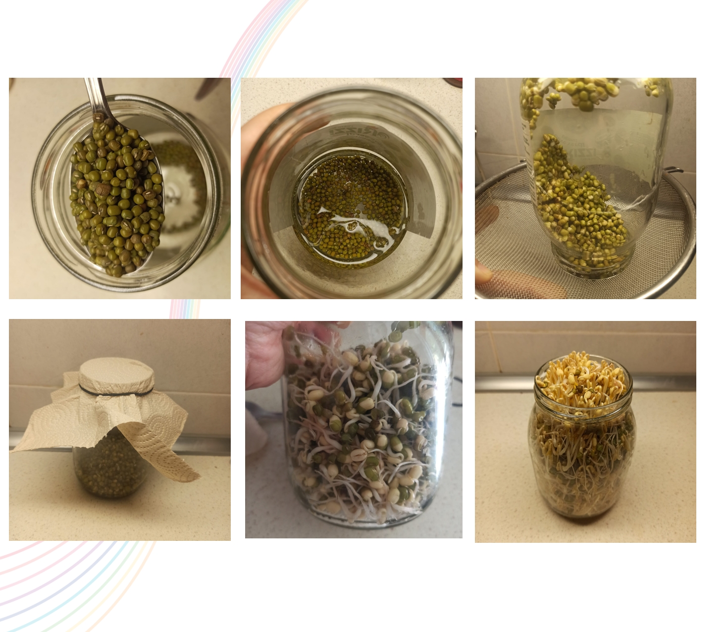 beans.jpg