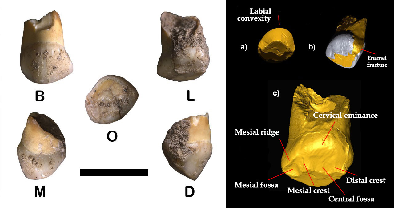 Figure 2.jpg