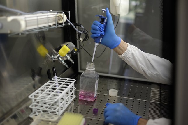 Ricerca scientifica, anche Unife chiede di non fermare la sperimentazione animale Ricerca scientifica, anche Unife chiede di non fermare la sperimentazione animale