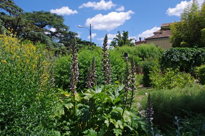 Il giardino mediterraneo dell'orto botanico