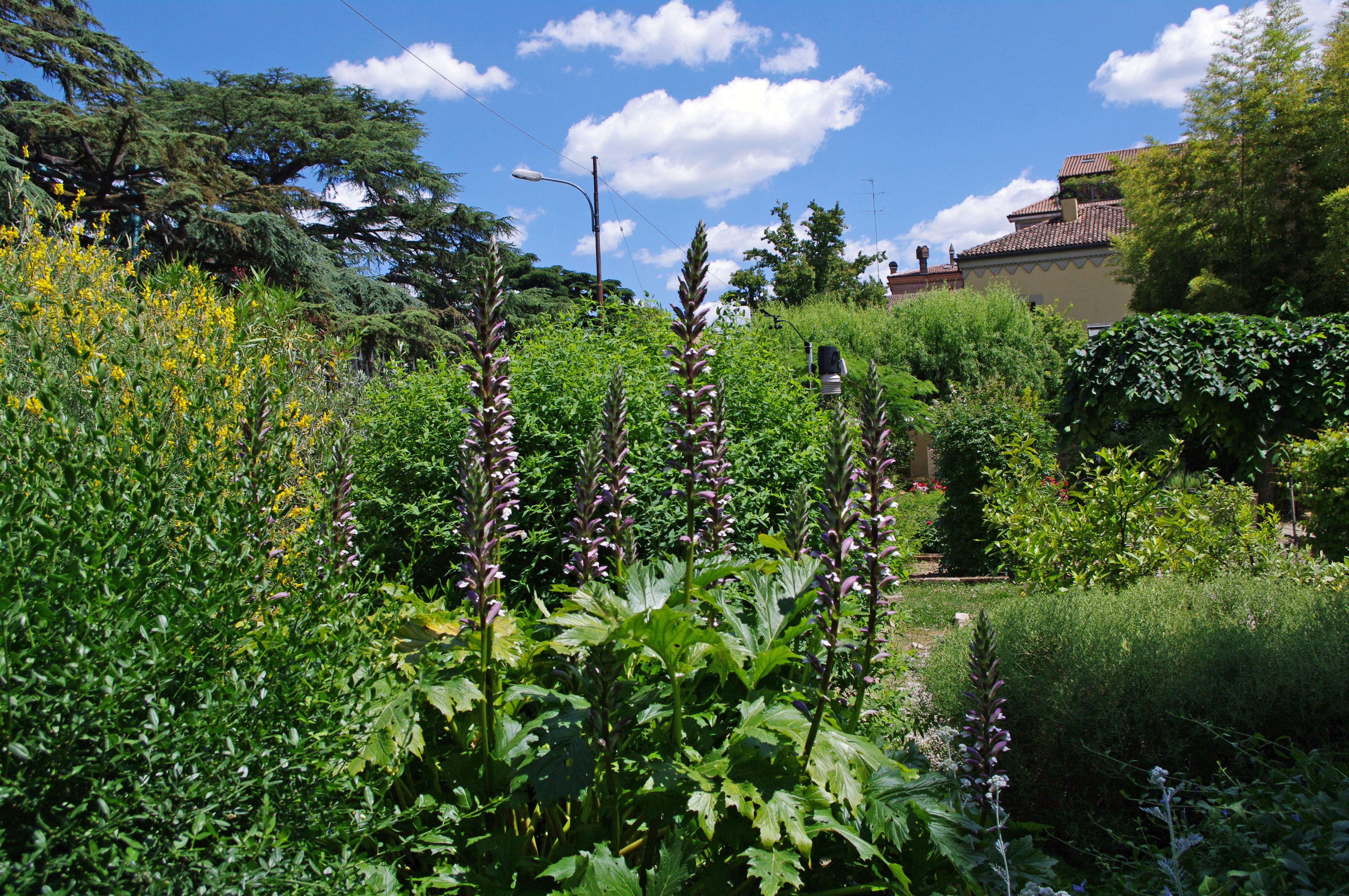 Giardino mediterraneo.JPG