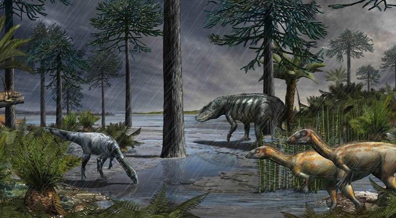 Paleontologia | Anche in video l'estinzione che plasmò gli ecosistemi moderni. Da una ricerca con contributo Unife