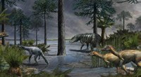Paleontologia | Anche in video l'estinzione che plasmò gli ecosistemi moderni. Da una ricerca con contributo Unife