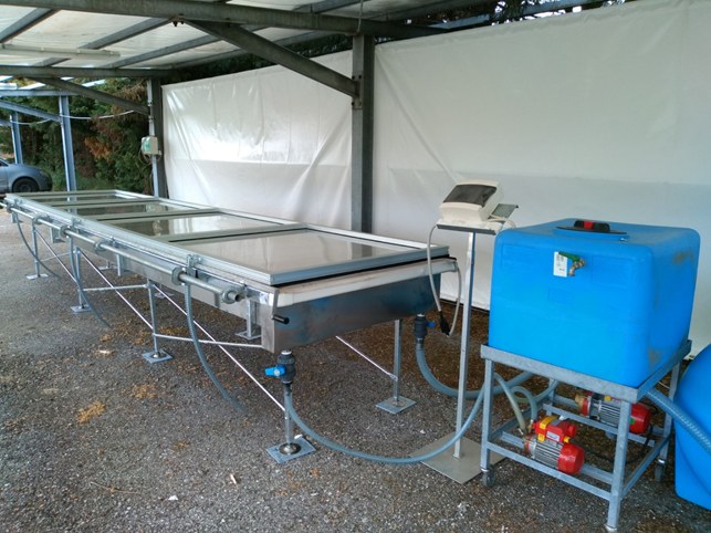 Pancaldi.jpg Pancaldi.jpg