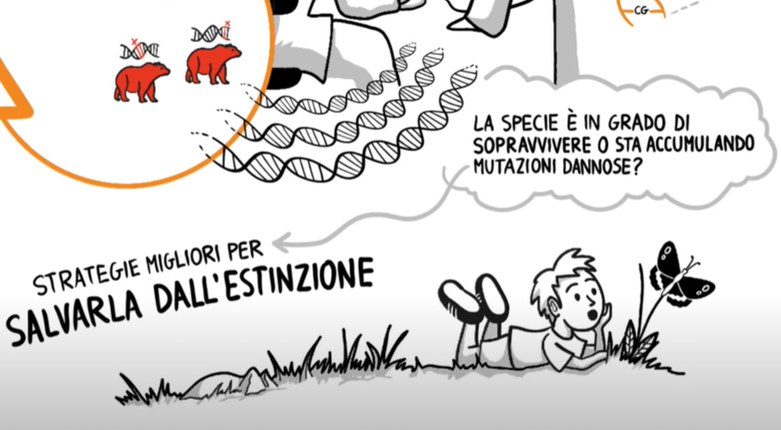 Biodiversità | Il video di Endemixit, progetto Unife per la salvaguardia delle specie italiane a rischio d'estinzione