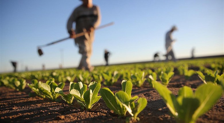 Sostenibilità agricola | Unife presenta in un webinar due metodi innovativi brevettati nell'ambito del Tech Share Day Sostenibilità agricola | Unife presenta in un webinar due metodi innovativi brevettati nell'ambito del Tech Share Day