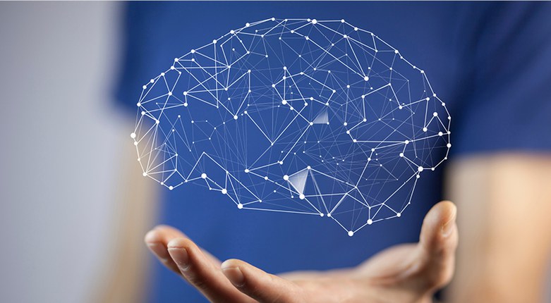Neuroscienze | Unife nel nuovo Dottorato Nazionale attivo a partire dal 2022/23