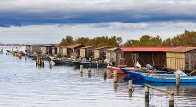 Expo Dubai | Fanno scuola le innovazioni di Unife nel campo dell’agrifood e dell'acquacoltura