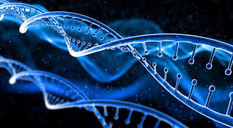 Genetica | Unife partecipa alla stesura delle linee guida per il sequenziamento dell’intero genoma in diagnostica