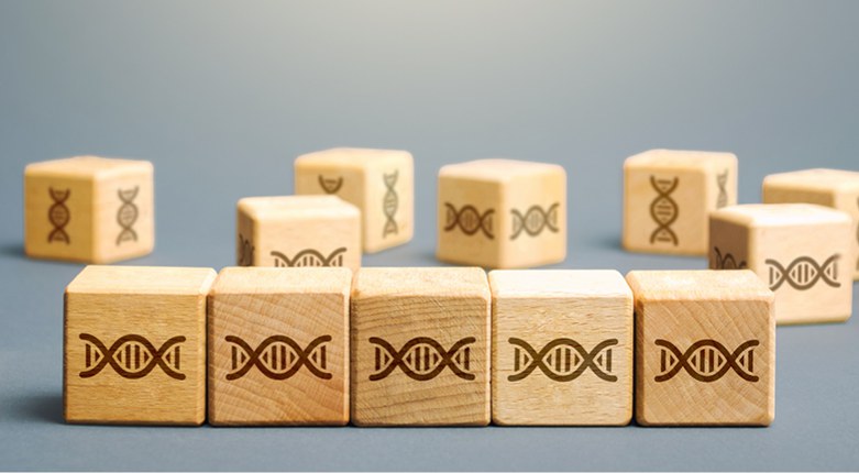 Genomica | Ridondanze del DNA per spiegare le malattie genetiche.  Lo studio Unife pubblicato su Plos One