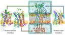Immagine3.png