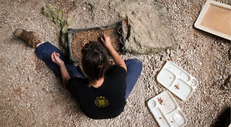 Archeologia | Riapre la campagna di scavo nella Grotta Rio Secco nelle Prealpi Carniche coordinata da Unife
