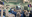 Chirurgia vascolare | Unife capitale dell'addestramento alla chirurgia linfatica