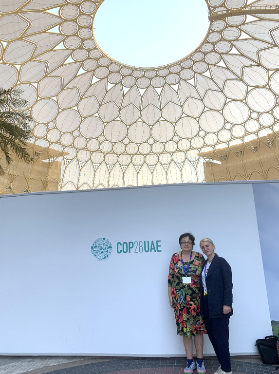 Screenshot 2023-12-13 122932.png